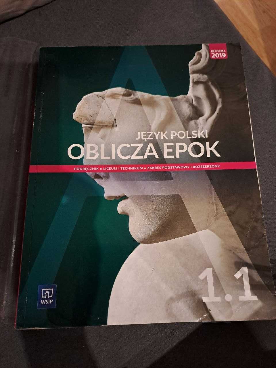 język polski Oblicza epok 1.1, klasa I