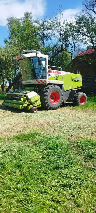 Koszenie kukurydzy na ziarno przyczepa przeładowcza