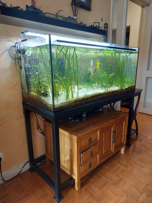 Aquario 120x50x50cm completo para venda