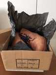 Botas Green Boots Mod. Lisbon Nº 41 (troca)