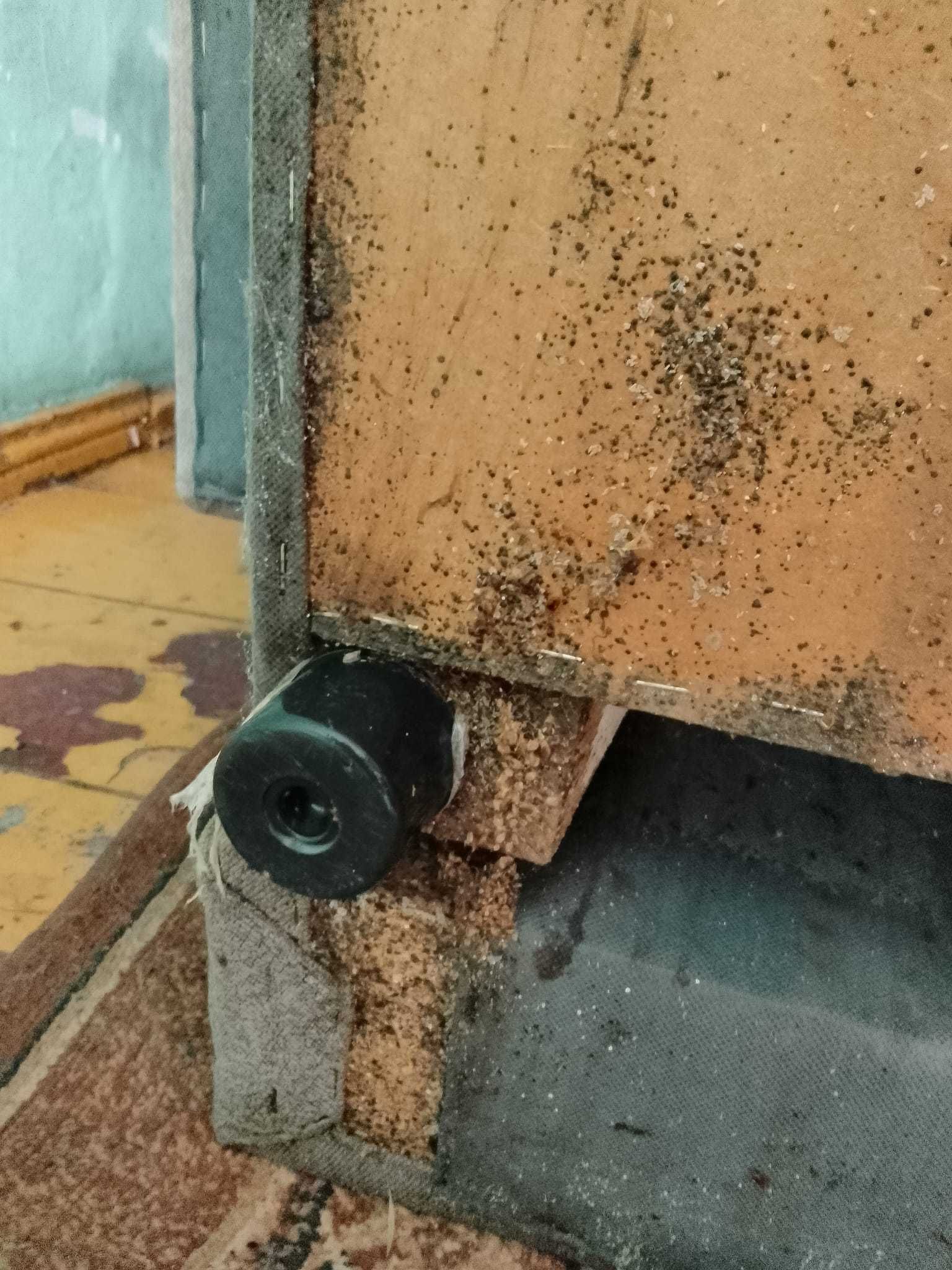 Dezynfekcja Dezynsekcja Deratyzacja Ozonowanie ZZ insektoff