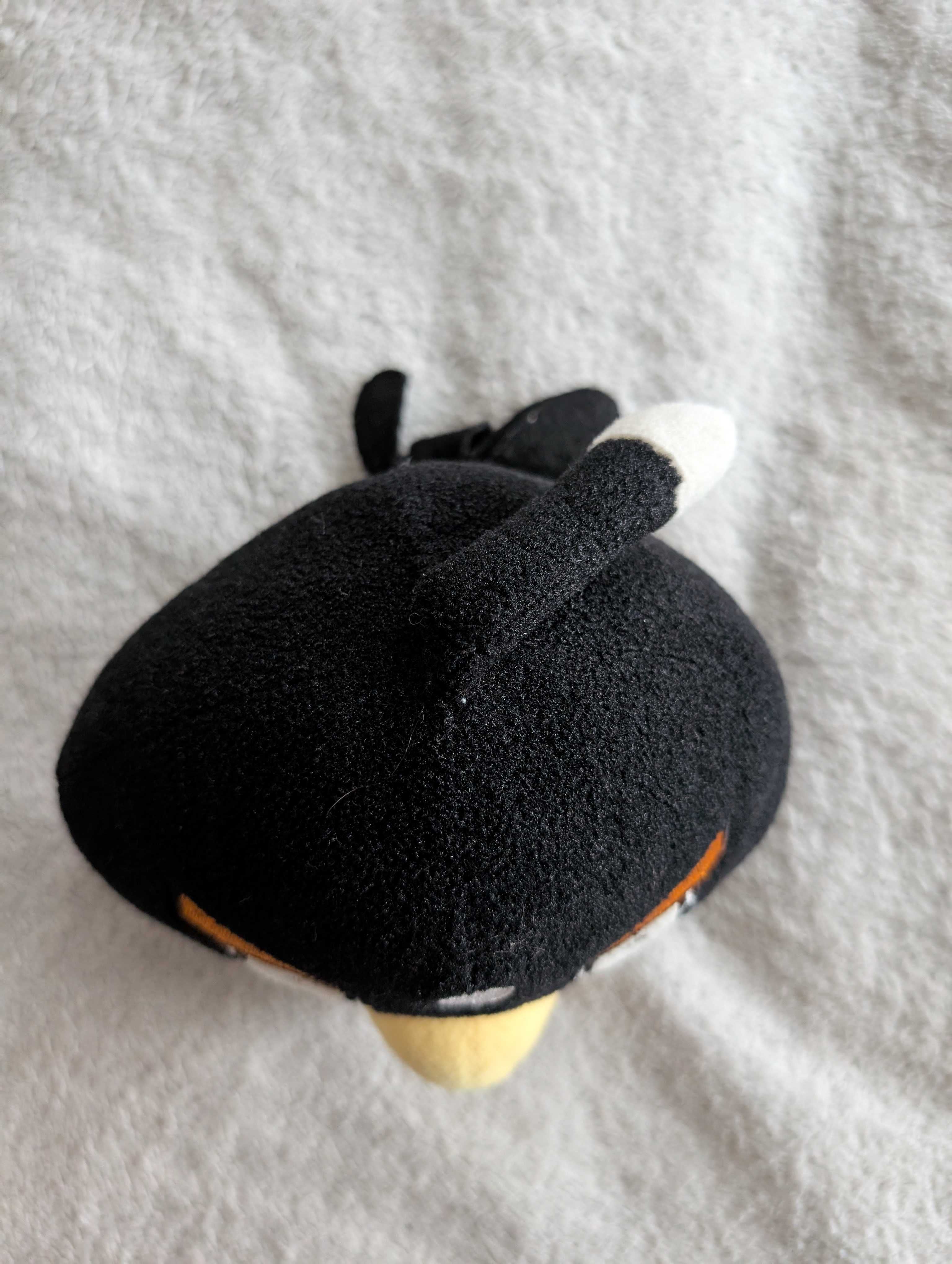Czarna maskotka ptak Angry Birds