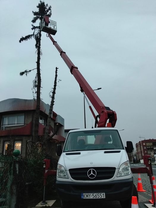 Podnośnik koszowy zwyżka wycinka drzew dostępny 24/7