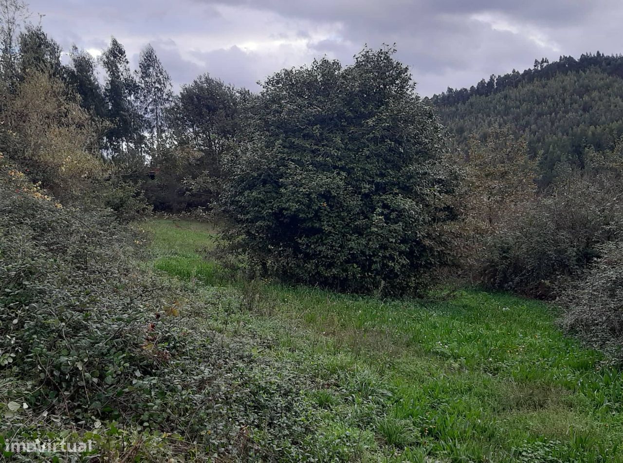 Vende Quinta em Paraíso Castelo Paiva