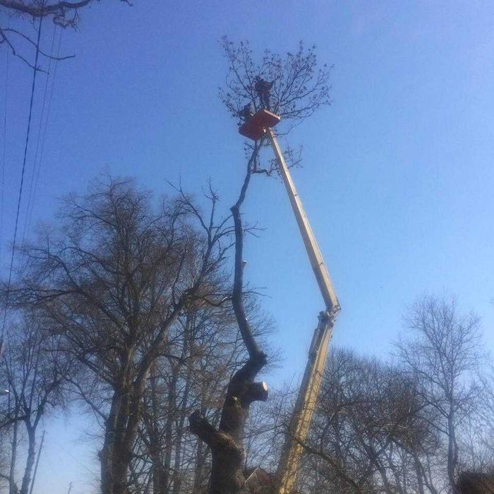 Видалення. Валка. Спилювання небезпечних, аварійних дерев