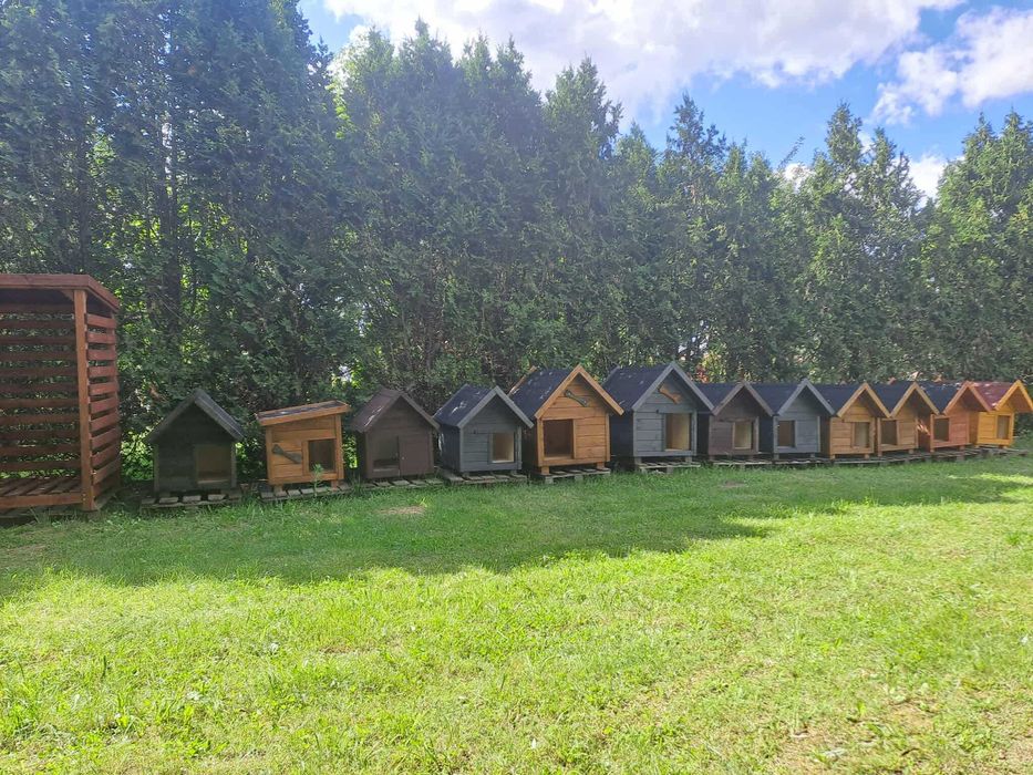 Budy dla Twojego pupila duży wybór zapraszamy