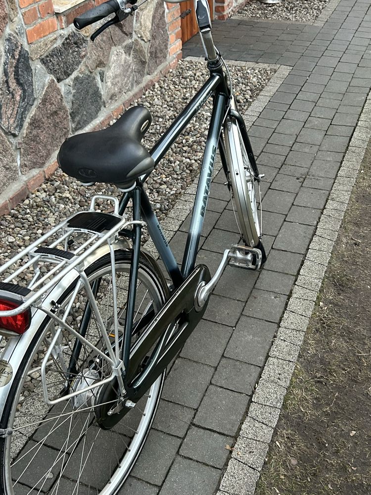 Rower Batavus Adagio