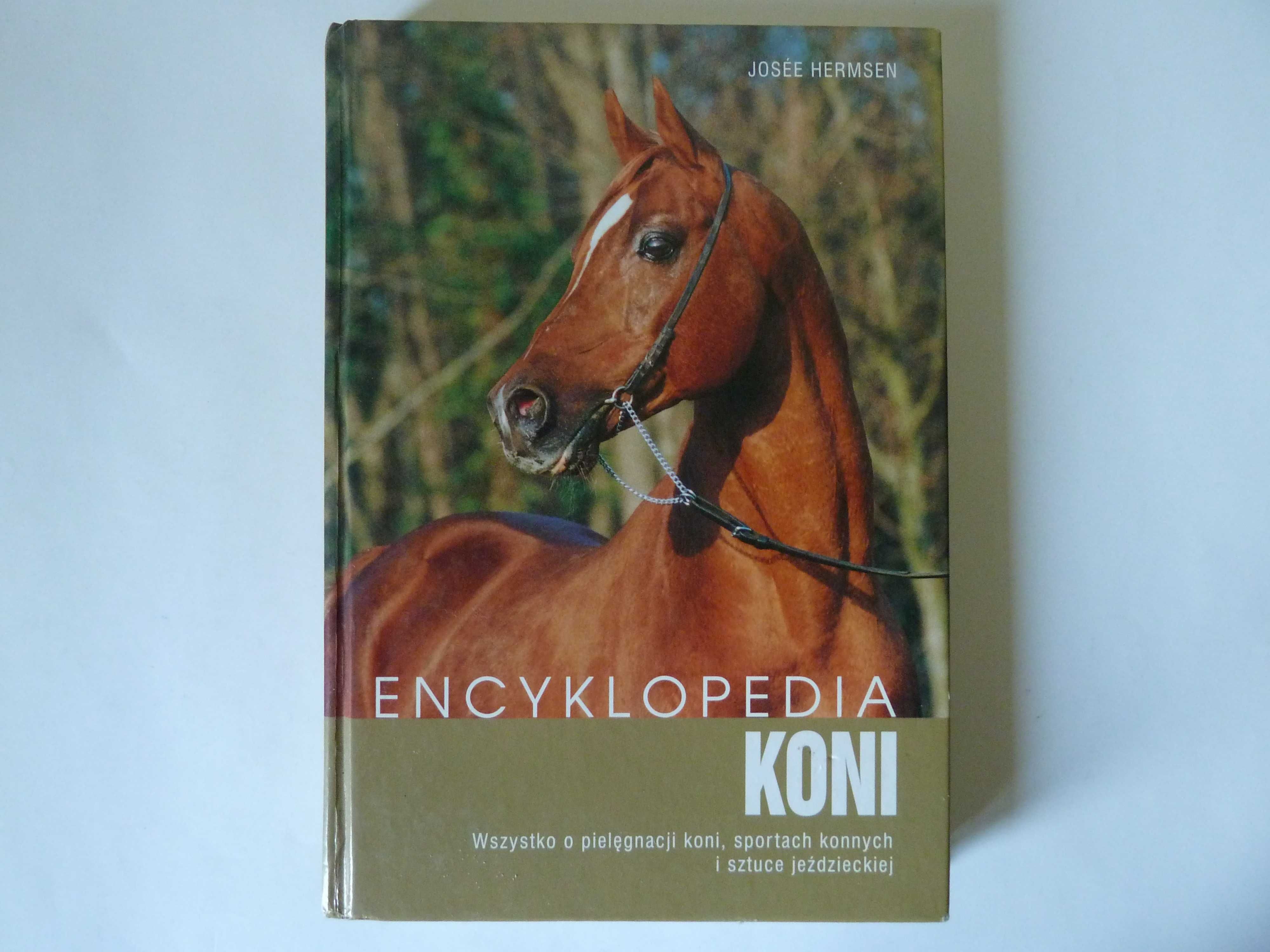 Josee Hermsen  Encyklopedia koni