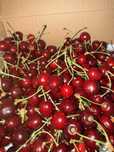Czereśnie czerwone 15zł/ kg