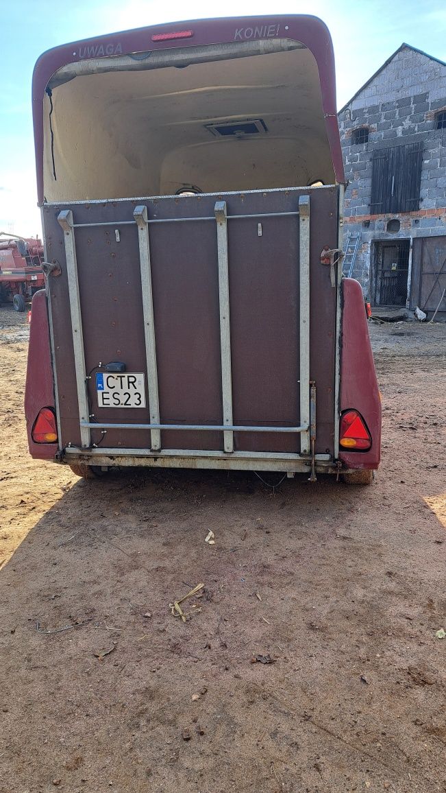 Przyczepa Bukmanka Do Koni Boeckmann-Lastrup koniowóz