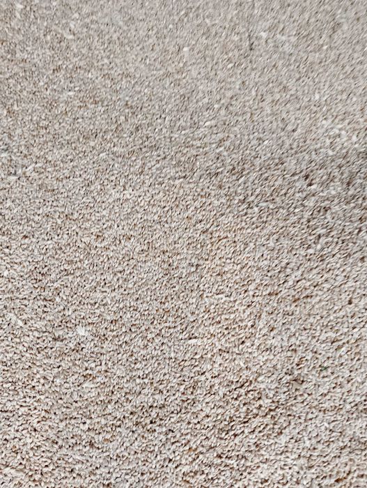 Pszenica ozima elektra po centrali