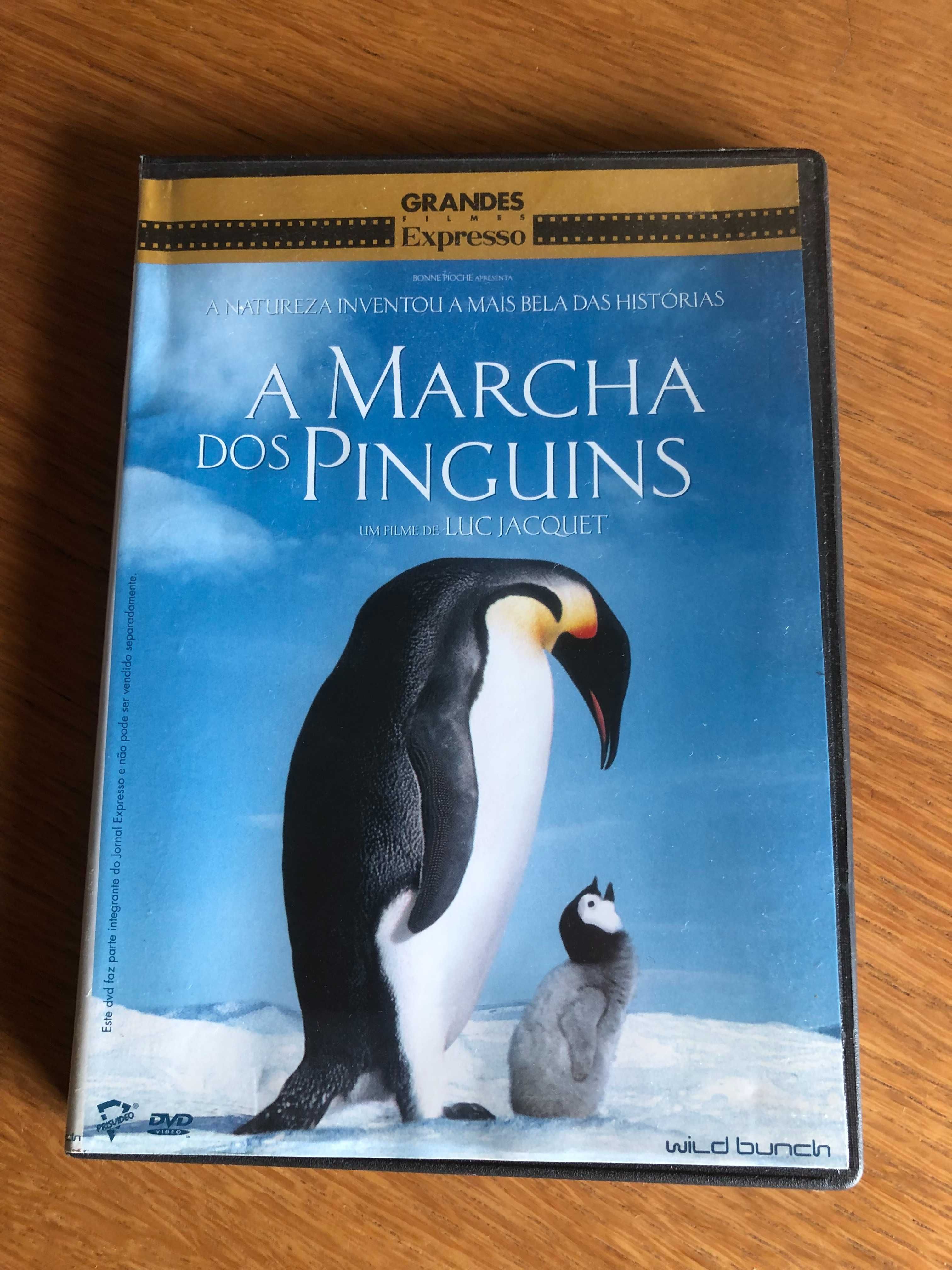 Vários DVD  portes grátis