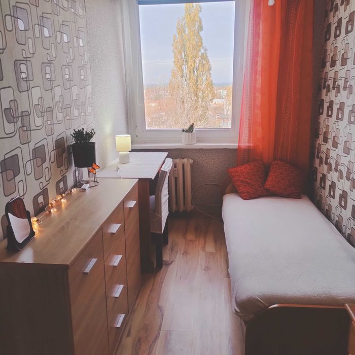 oferuję pokój do wynajęcia