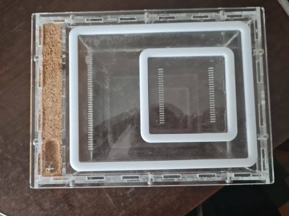 Formikarium korkowe dla mrówek