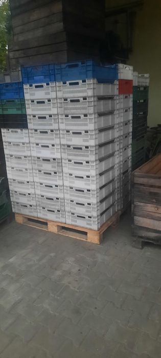 Sprzedam  skrzynki  plastikowe. do  owoców iwarzyw