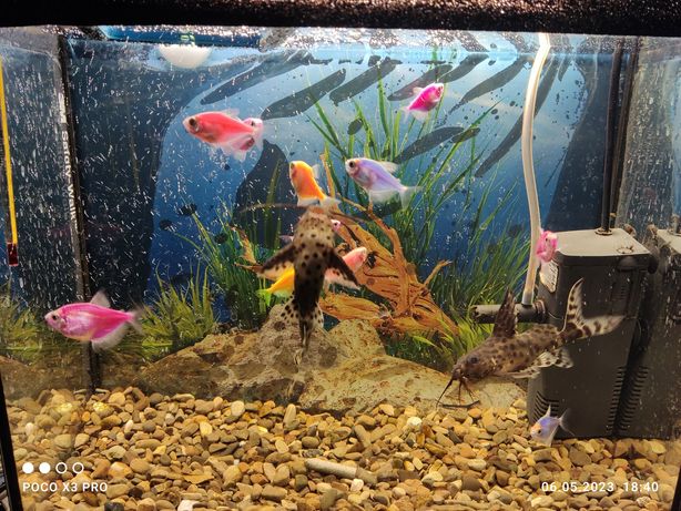 Продам небольшой аквариум с рыбками,фильтром, обогревателем подсветкой