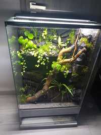 Terrarium 60x40x100