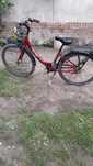 Rower miejski damka