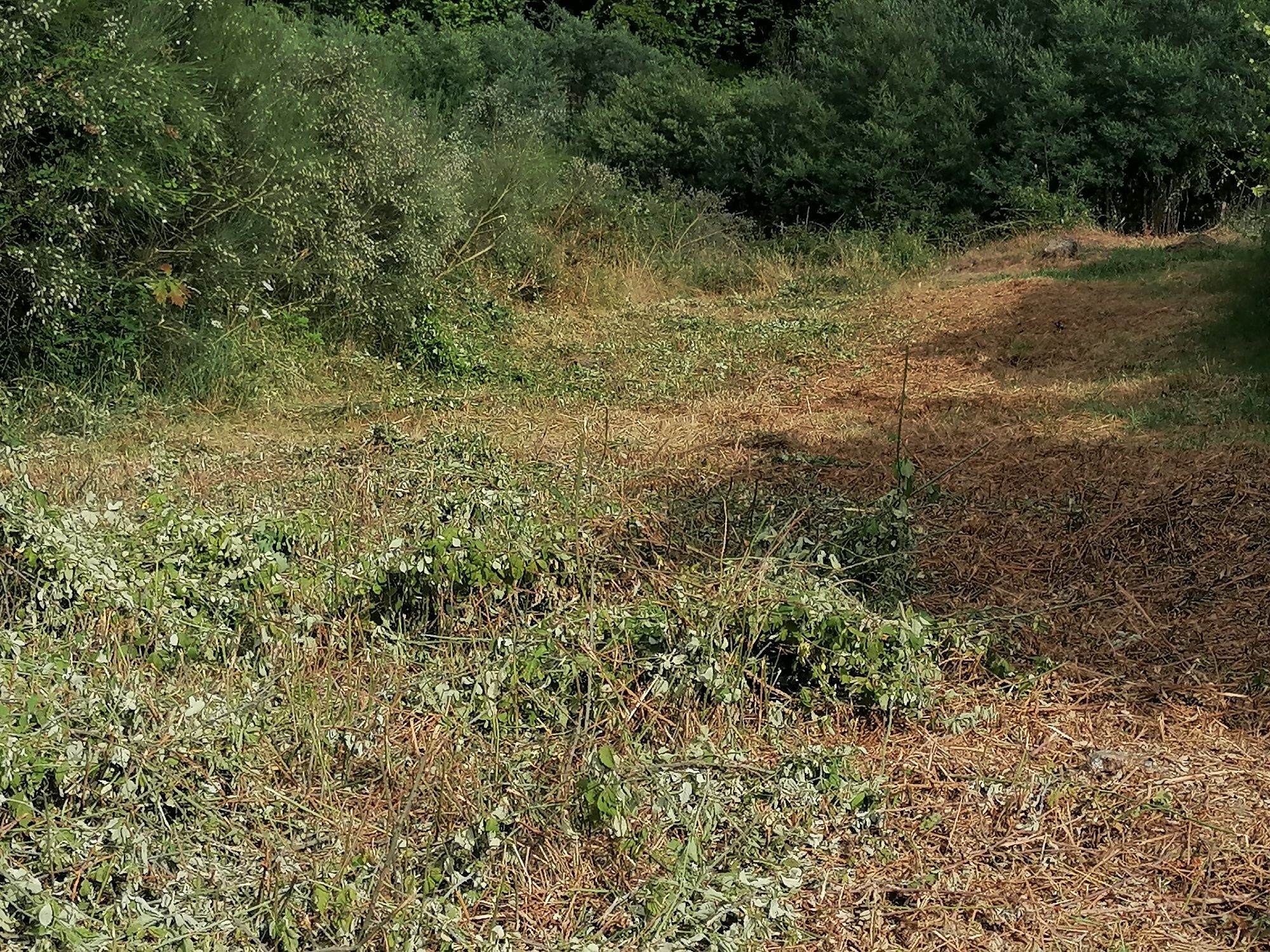 Frezar, limpeza terreno