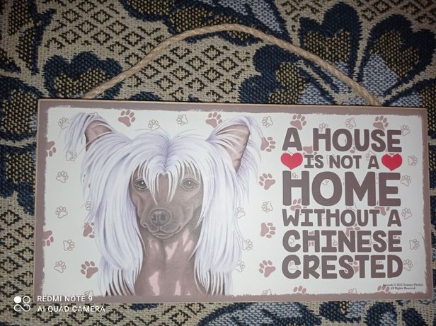 Картина Дом где любят собак