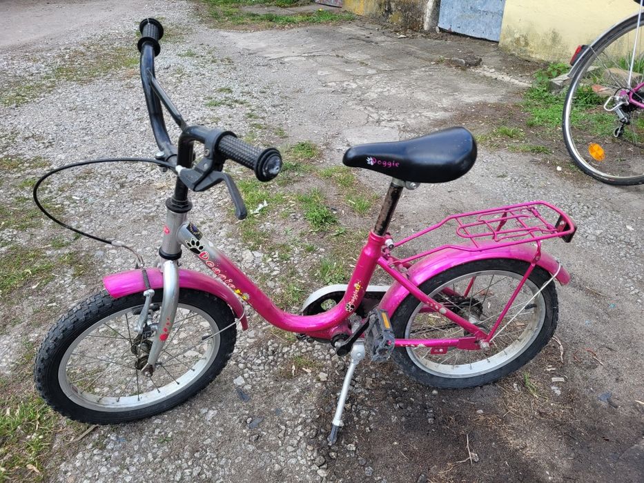 Sprzedam rowerek Doggie X2, koła  20", sprawny. Okazja!