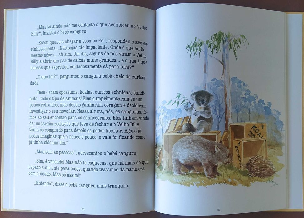 Livros Infantis - novos