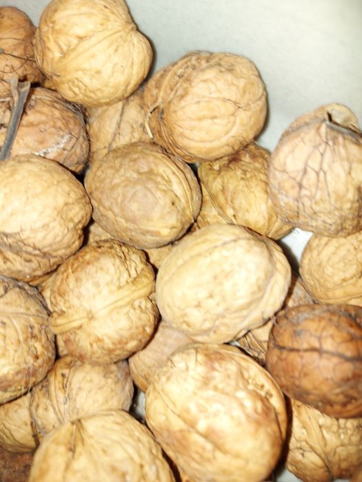 Orzechy włoskie nie luskane