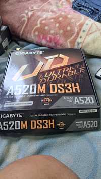 motherboard gigabyte a520m ds3h