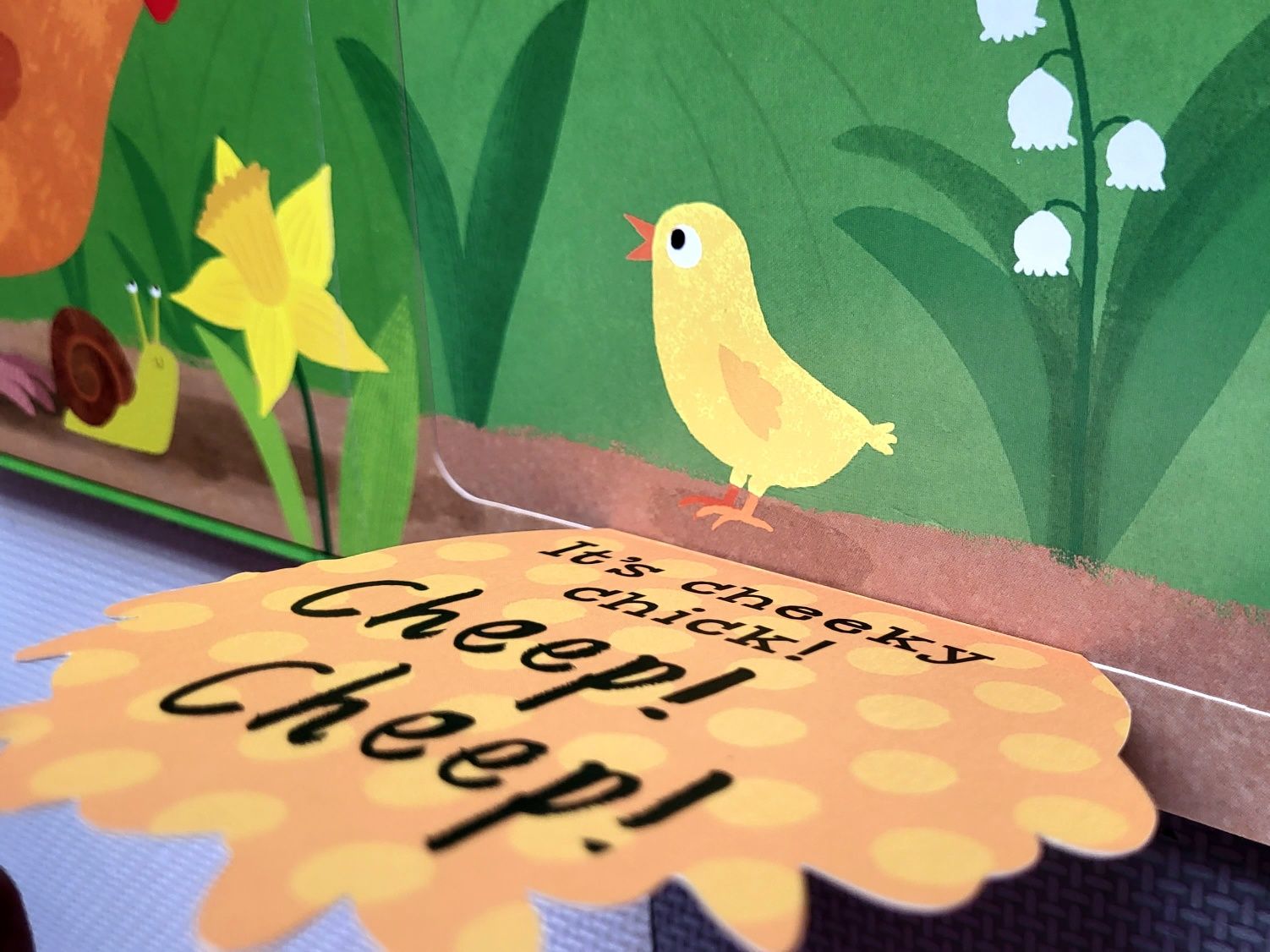 Can You Say It Too?? Cheep! Cheep! książeczka po angielsku z okienkami