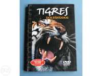 DVD - Tigres os Pântanos