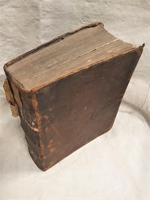 Aurifodina kopalnia złota Dzieło teologiczne F. Fossa 1709r