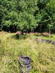 Opony za darmo   paintball