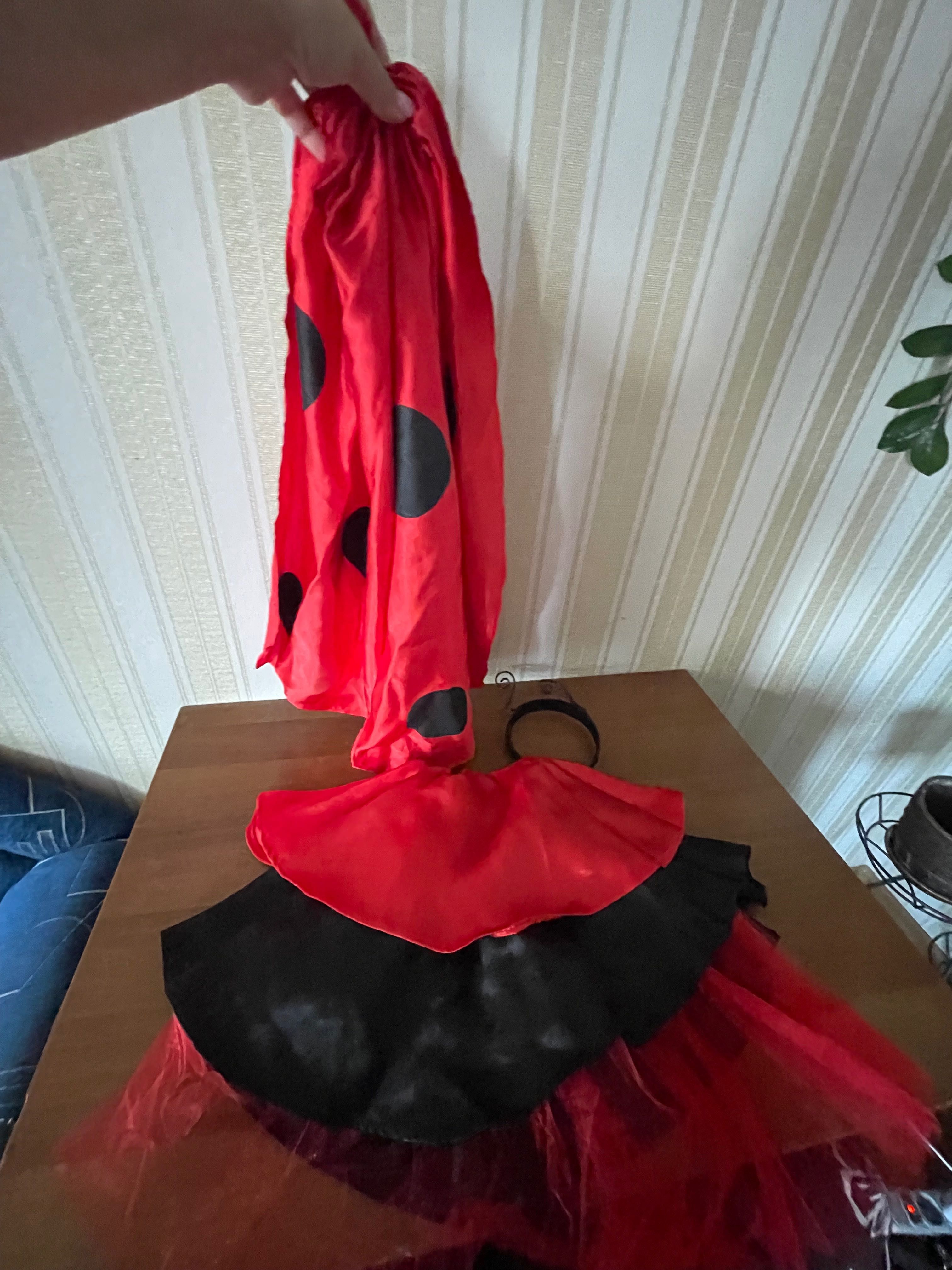 Карнавальний костюм жучка Сонечка, Lady Bug