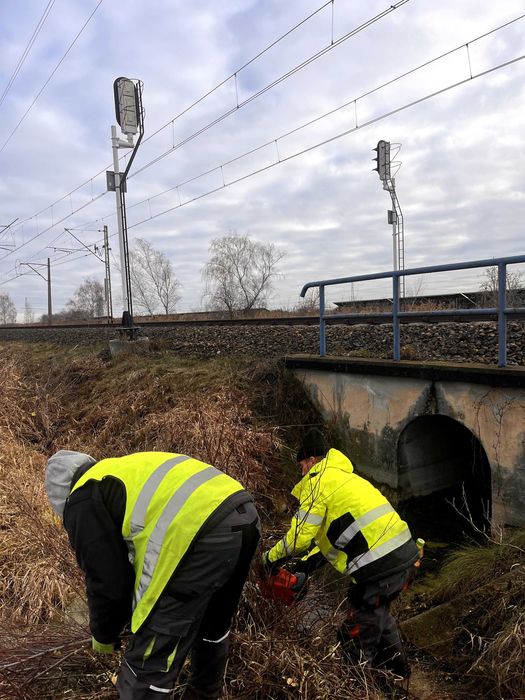 Koszenie trawy karczowanie oczyszczanie działek pod inwestycje