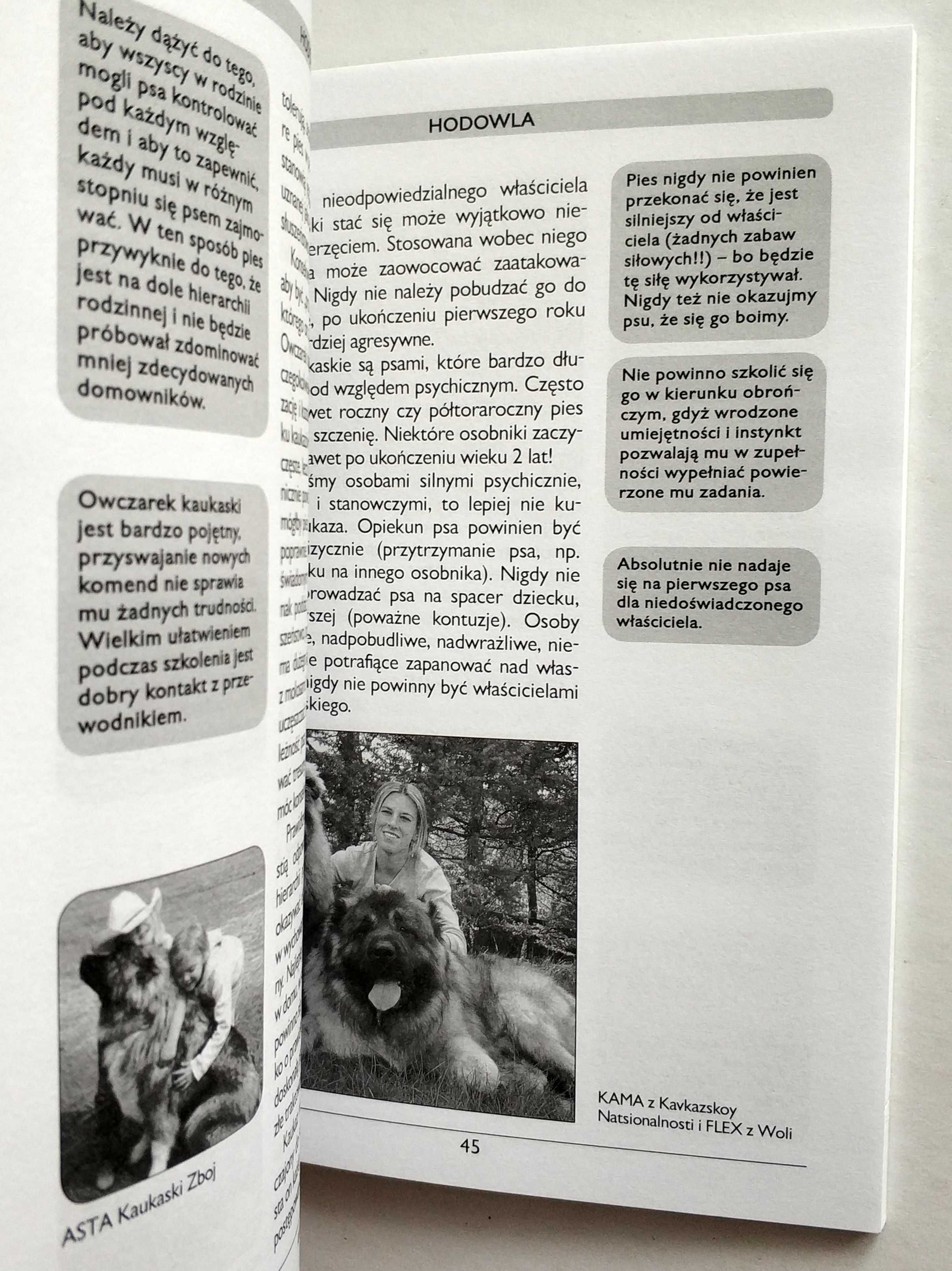 Owczarek kaukaski, Joanna Zarzyńska, NOWA! UNIKAT!
