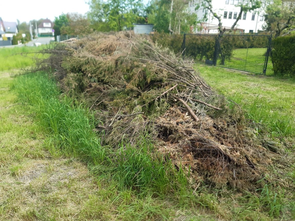 Drewno-Gałezie .