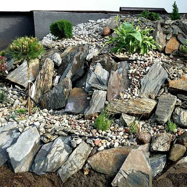 Łupek szarogłazowy lub gnejs na skalniak murek oporowy kamień murowy