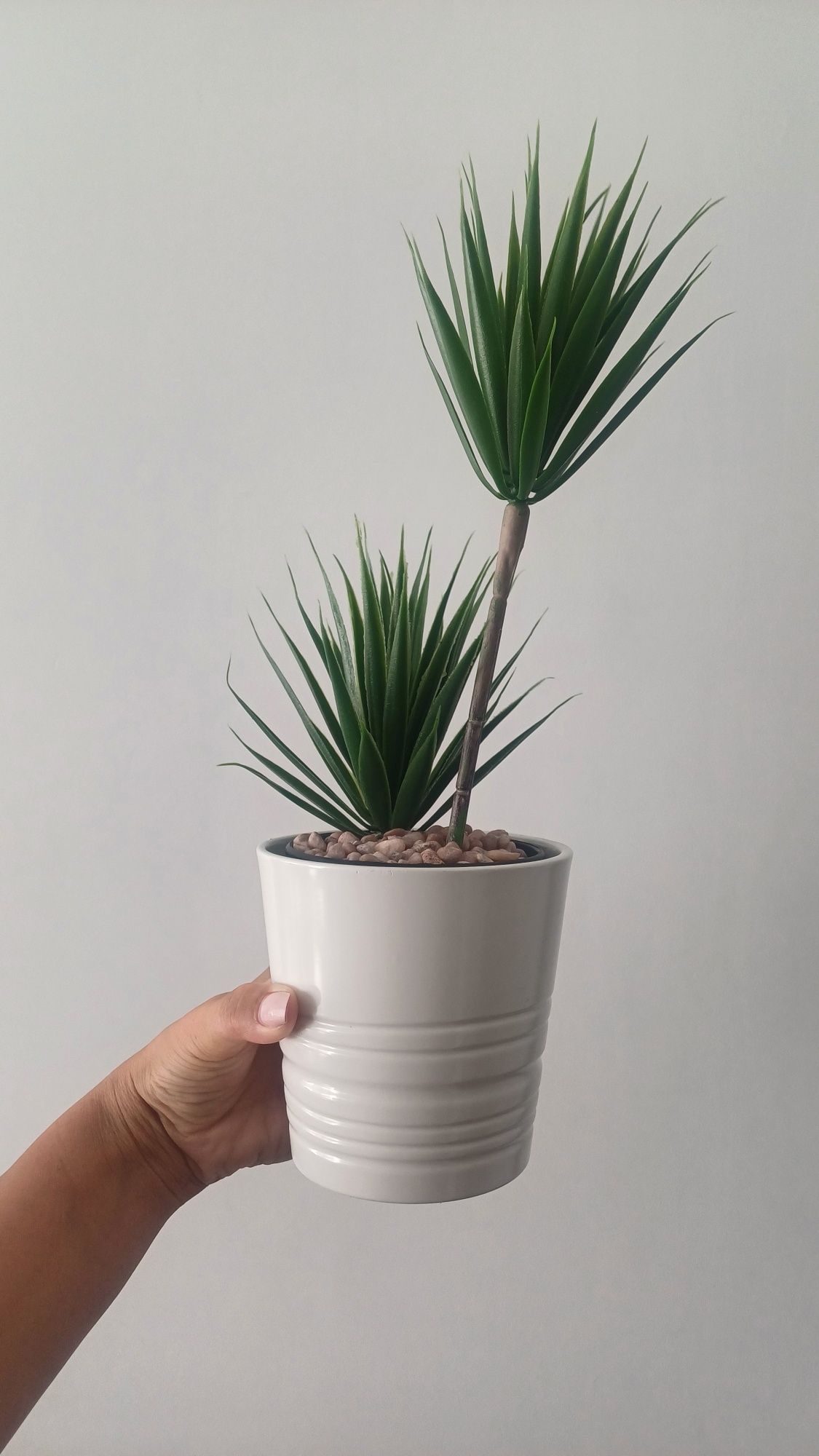 Vaso ikea + planta  (novo)