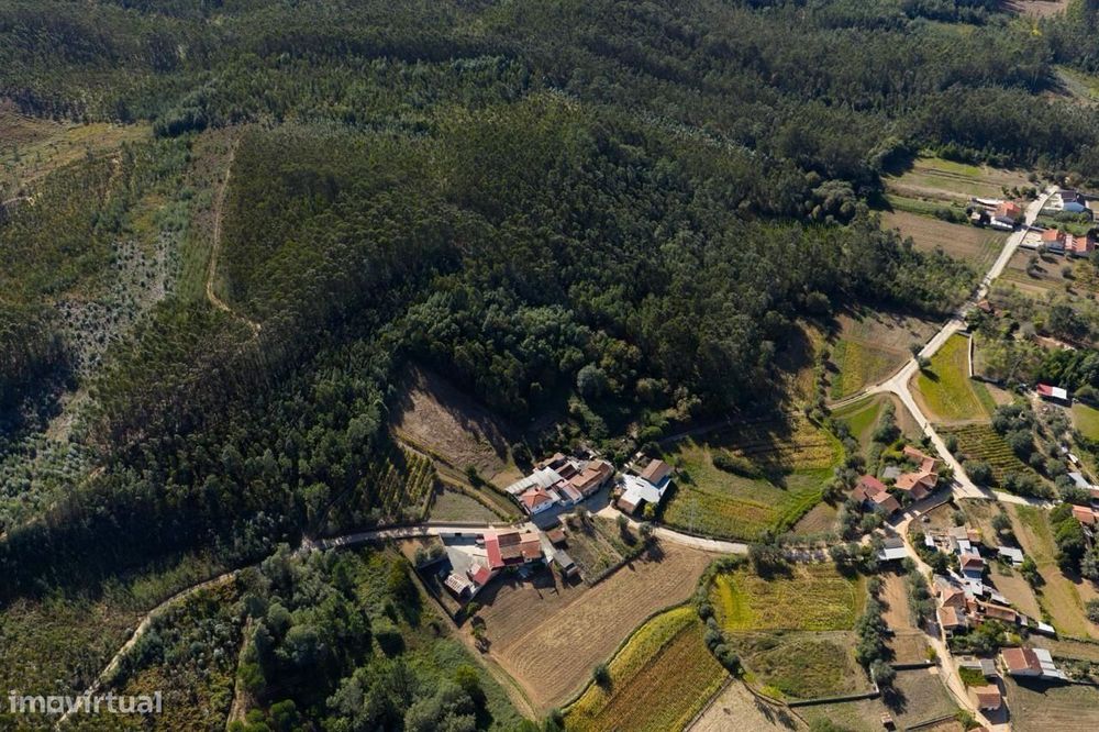 Terreno com 27.000m2, Aguada de Cima, Águeda