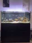 Aquario 120cm 300litros com movel