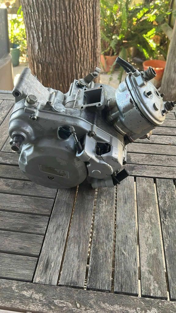 Motor minarelli am6