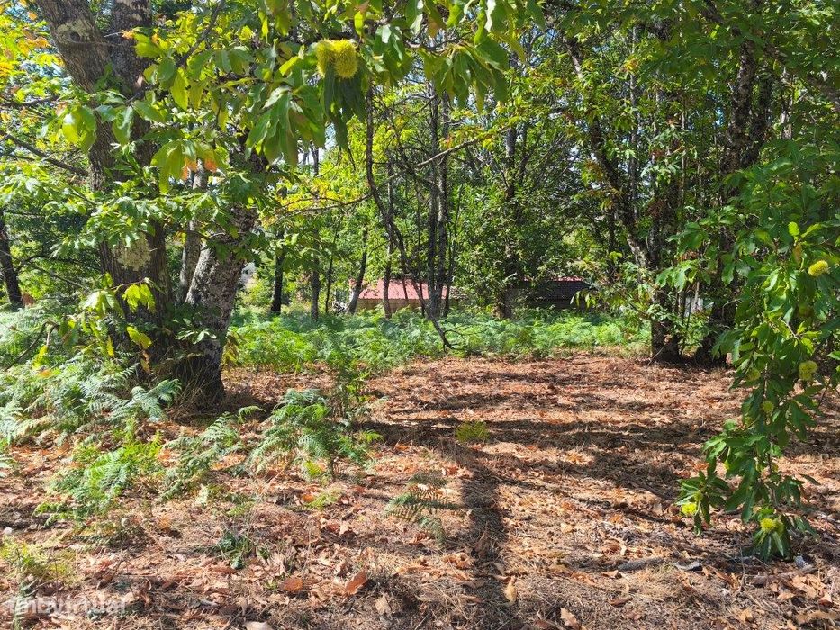 Prédio rústico em zona de construção