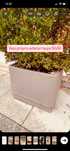 Vaso taupe exterior c/planta