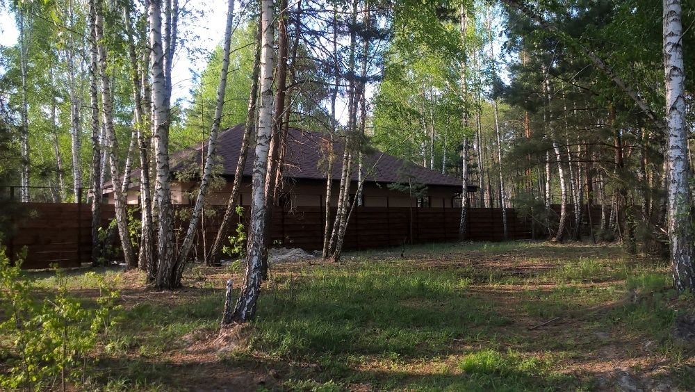 Продається ексклюзивна ділянка з лісом! Хочановка.