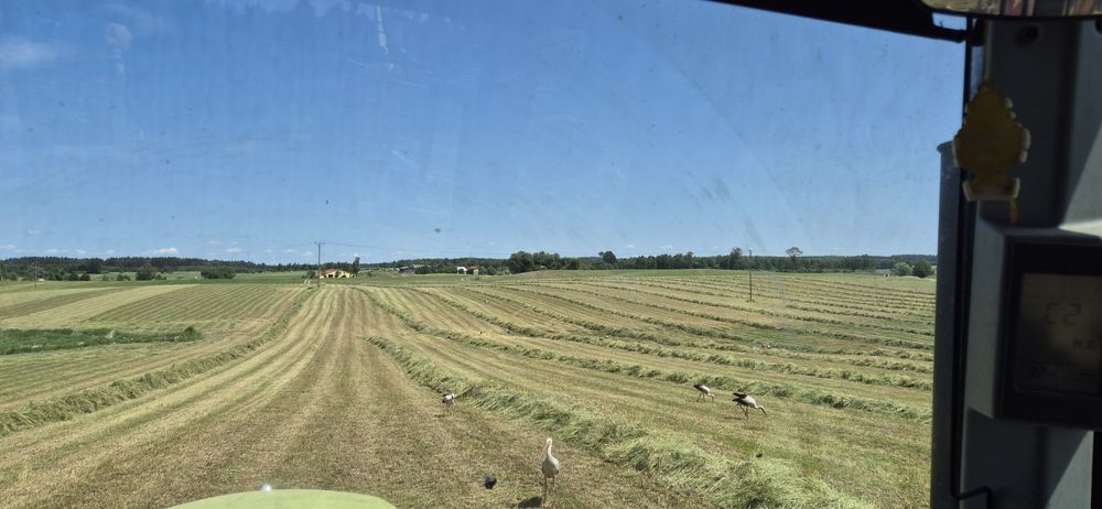 Sprzedam ziemie rolna