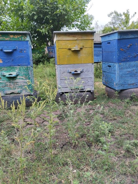 Вулики 12 рамок! 2 корпуси