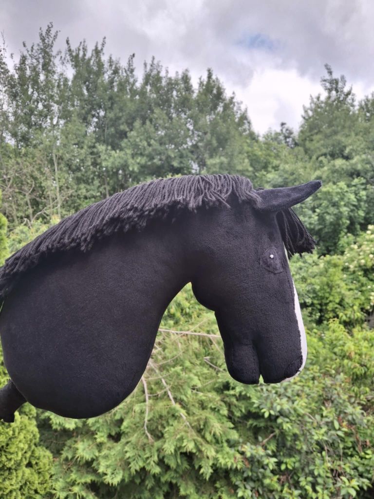 Hobby Horse, Kary, konik na kiju, lekki, A4, do skoków.