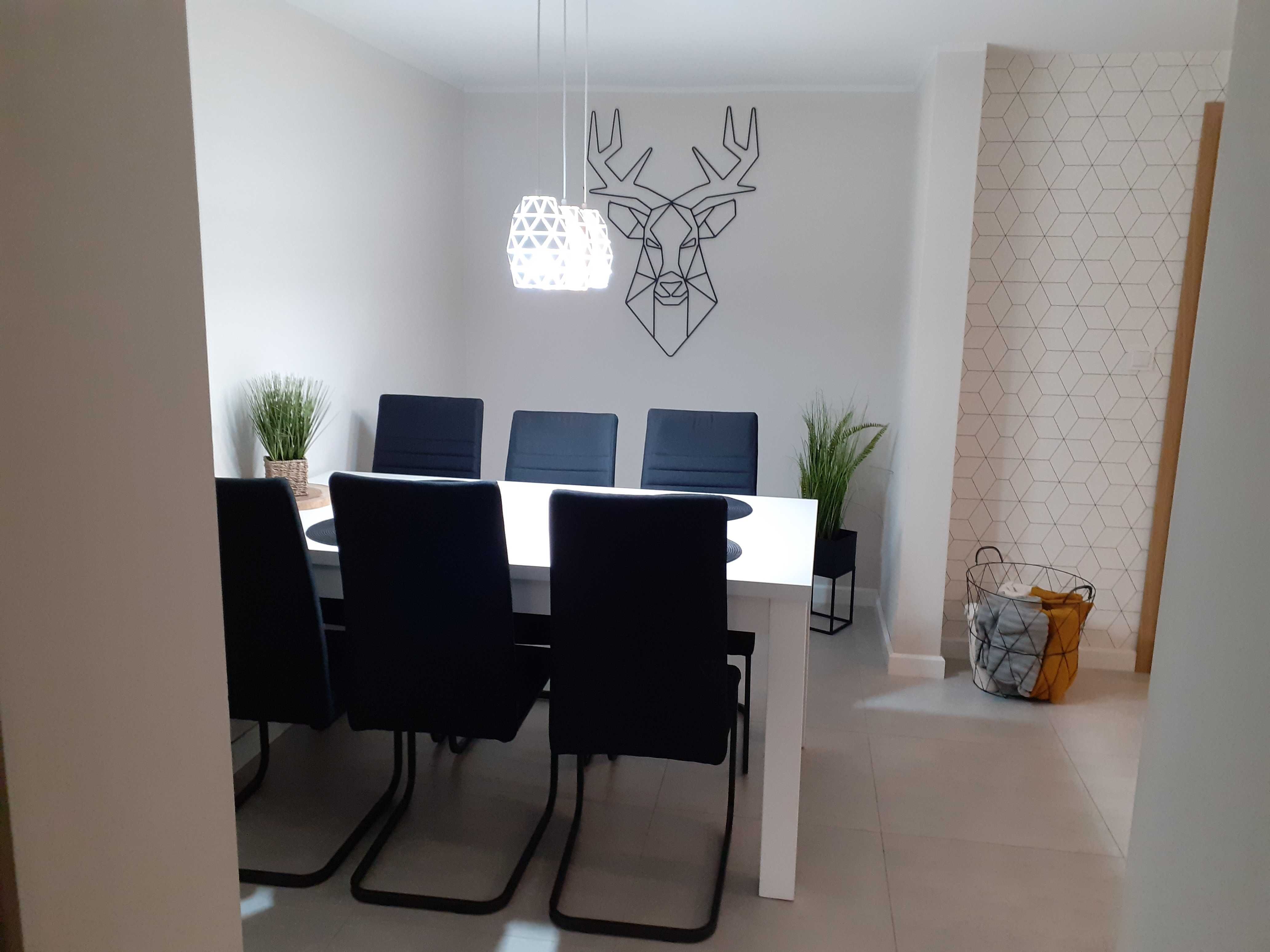 Apartament, domek Mierzyn 80m2 , nocleg Międzychód