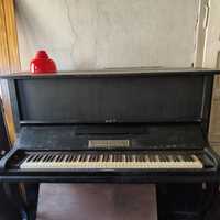 Pianino Arnold Fibiger