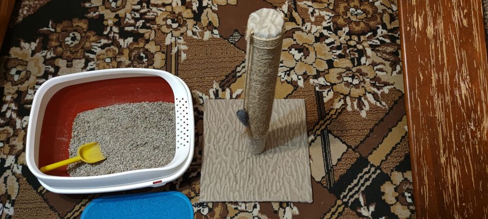 Когтеточка средняя для кота